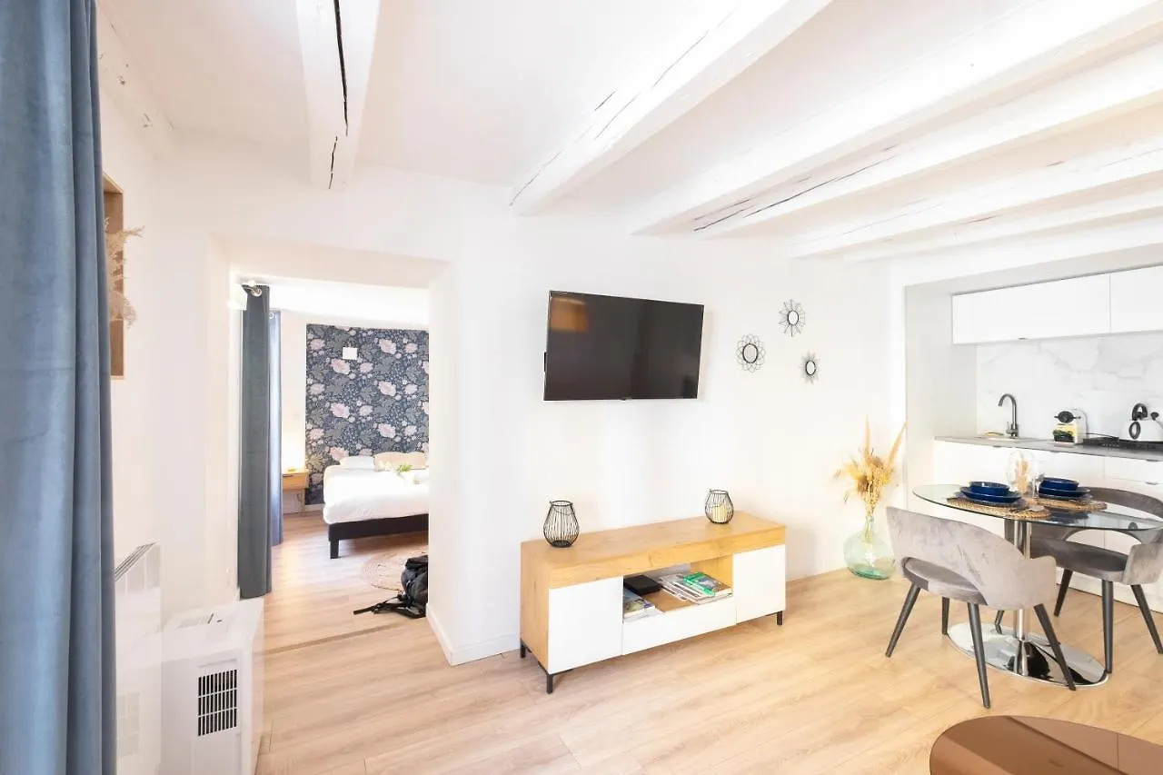Petit Cocon Au Centre D'Annecy Apartment  Annecy