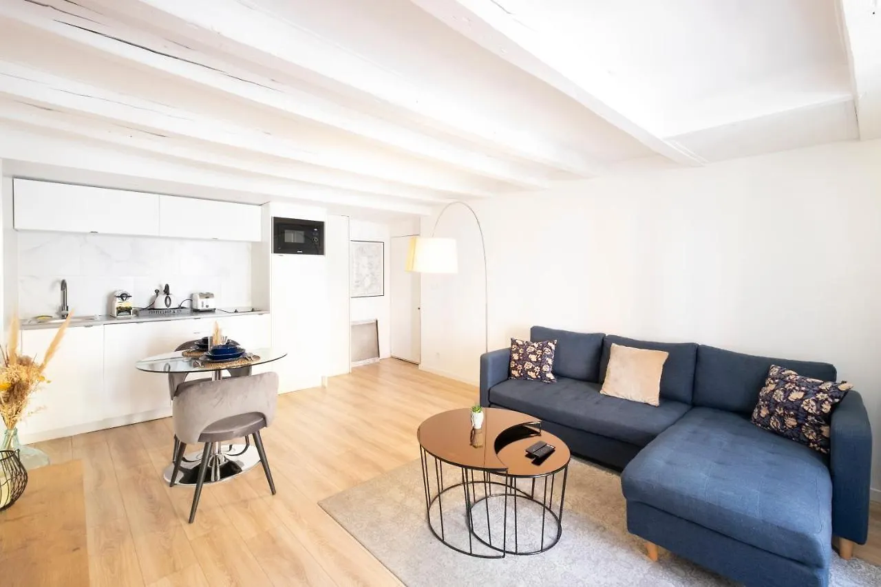 Petit Cocon Au Centre D'Annecy Apartment France